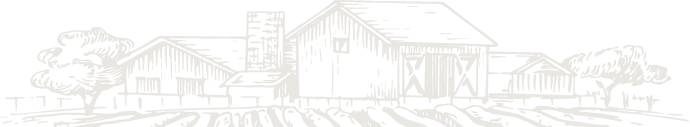 Blog background image