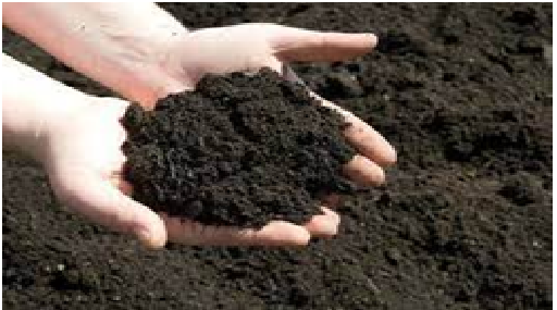 Organic Manures