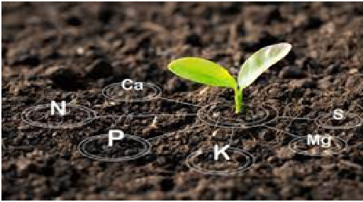 Soil Quality Test