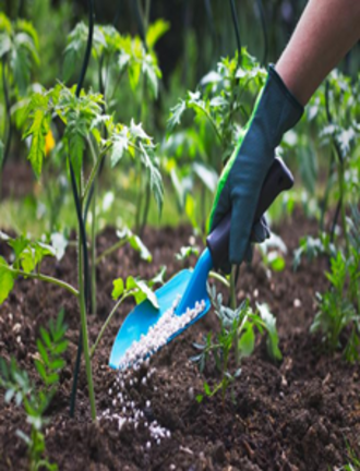 Enhances Crop Yield & Soil Quality